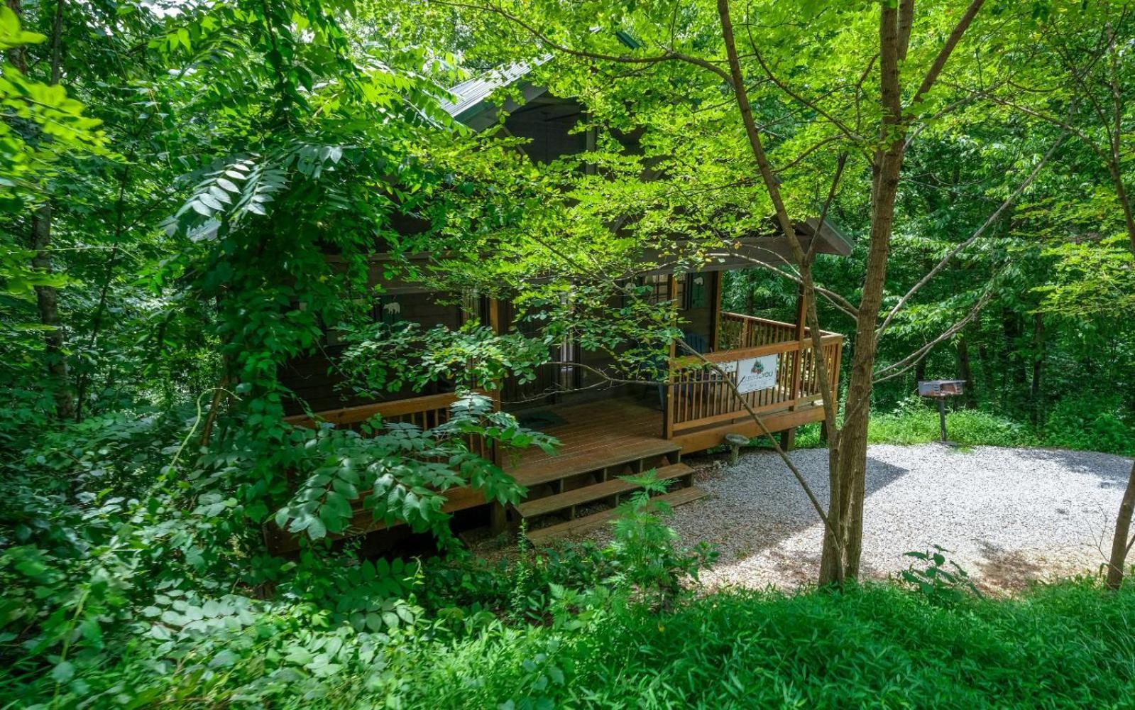 ガトリンバーグ The Tree Houseヴィラ エクステリア 写真